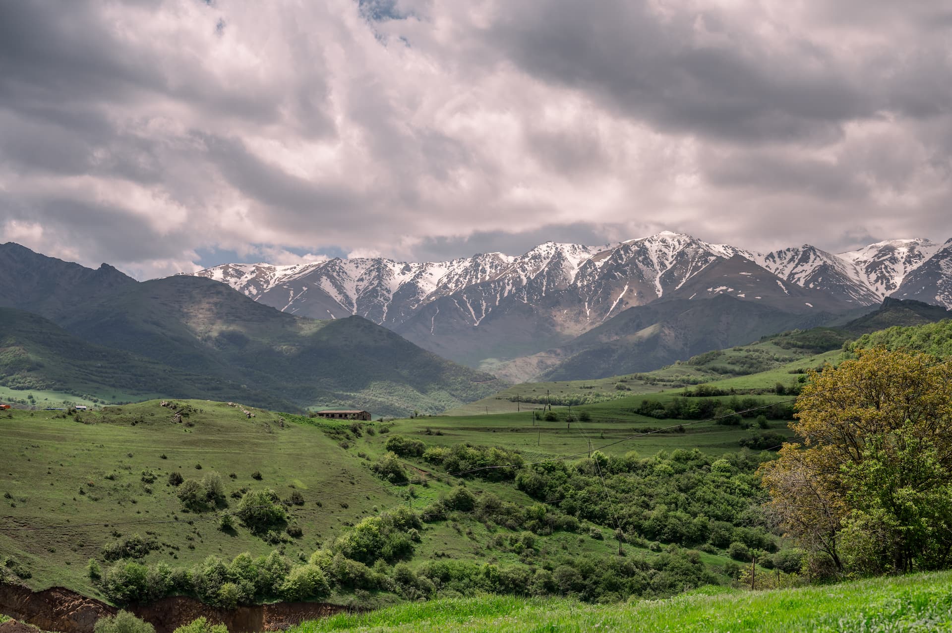 GoToArmenia, տեղեկատվական նախագիծ